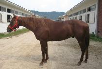 ������� (JEOLDAEMYEONGJANG) ����