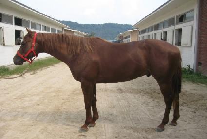 ������� ����