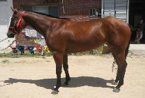 ���̺��� (DANCING BLUE) ����