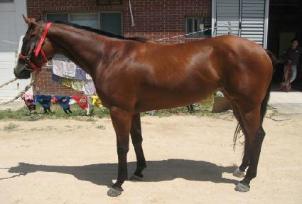 ���̺��� ����