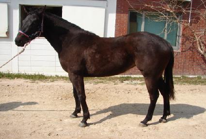 �׷���Ʈ��Ʈ ����