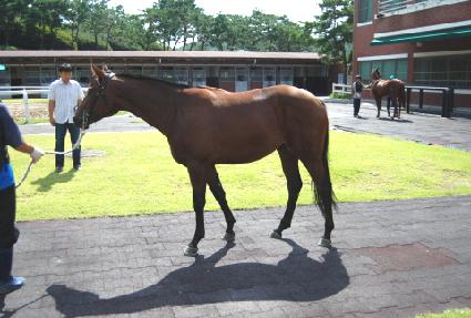 �������� ����