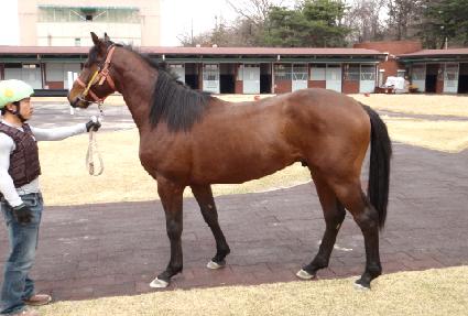 �ѵ�ũ�� ����