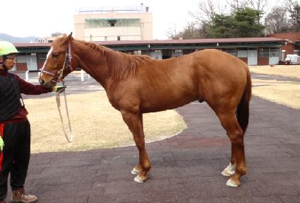 ��緯�� ����