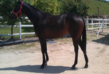 ����Ŭ���� ����