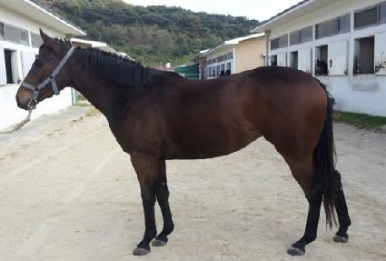 ���̵�Ʈ ����