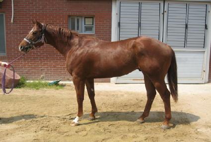 �ѷ����� ����