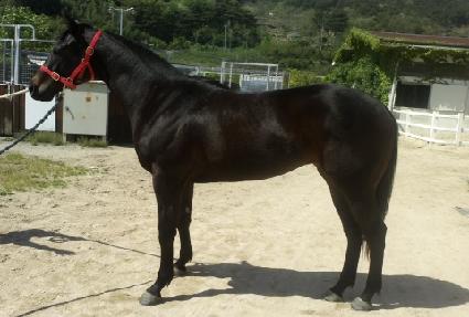 �ƶ���� ����