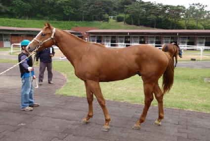 �긮�� ����