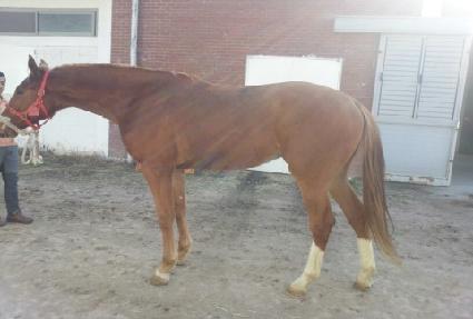 ���д�� ����