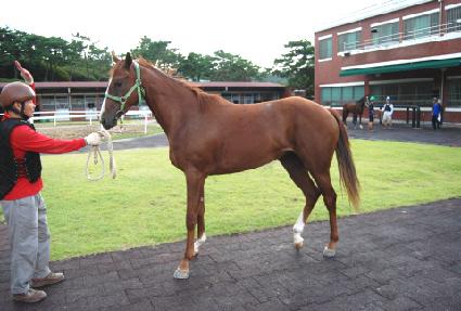 ���������� ����