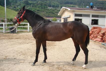 �ѹݵ����� ����