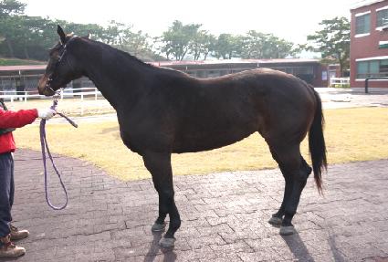 ���ʰ� ����