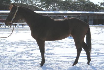 ����� ����