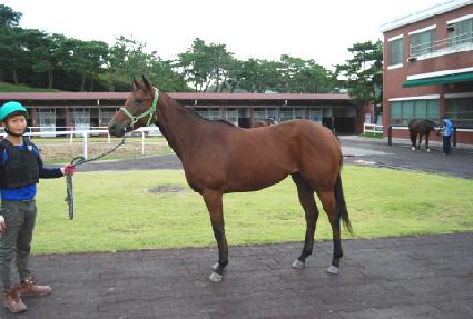 ���κ����� ����