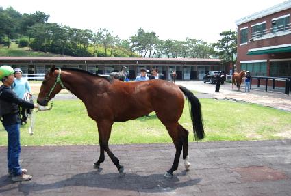 �ڷ��ε� ����