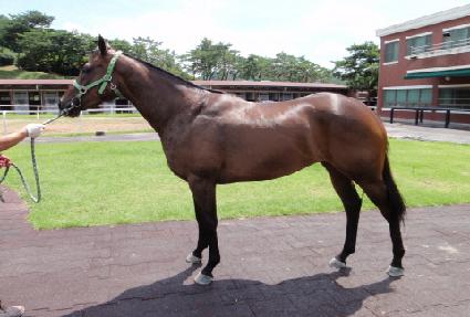 �ǹ���Ʈ ����