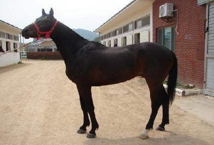 ����ȣ�� ����