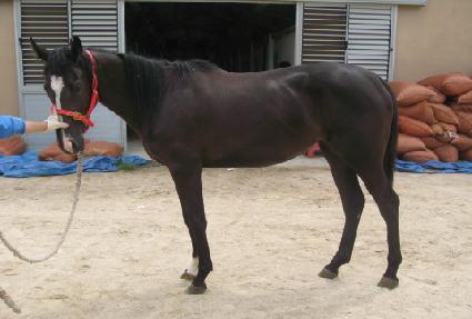 �������� ����