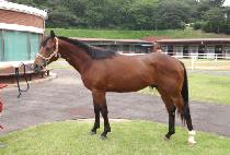 û������ (CHEONGGYEJEONGSANG) ����