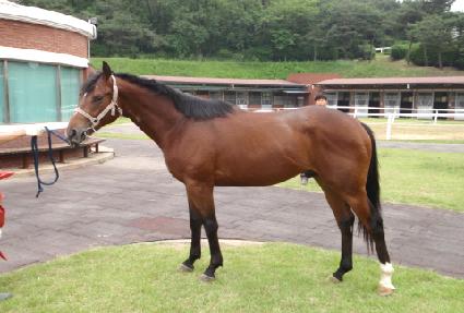 û������ ����