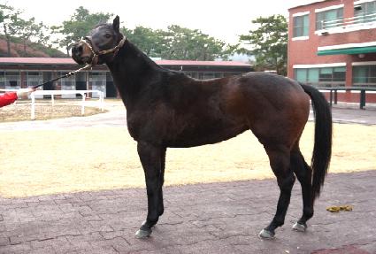 �мǷ��� ����