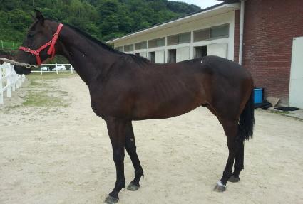 ������߱�� ����