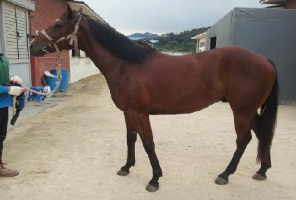 �ް��� ����