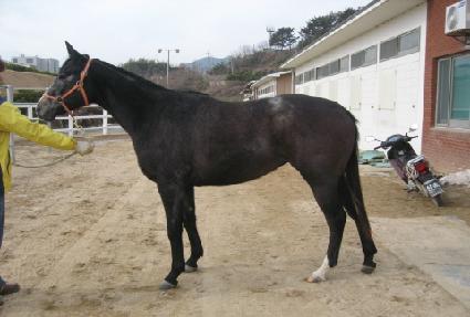 ��������� ����