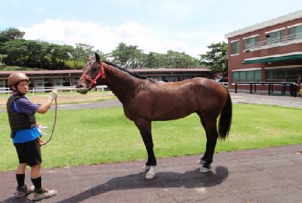 ��� ����