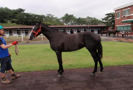 �������� ����