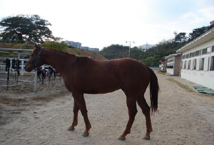 ��õ�� ����