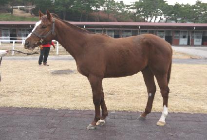 ���̹�ŷ ����