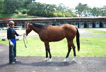 ������ (BONGDEOKSAN) ����