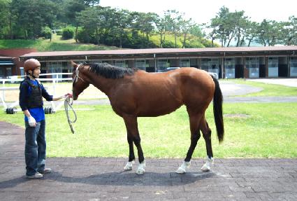 ������ ����