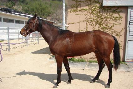 �ӽ�Ʈ�� ����