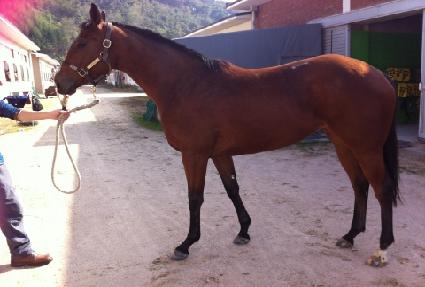 �ӽ�Ʈ�� ����