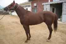 ��ȣ��ȸ (JEOLHO GIHOE) ����