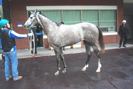 Ȧ���ö��� ����