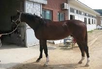 �ع̷� (HAEMIRU) ����