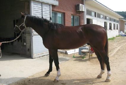 �ع̷� ����