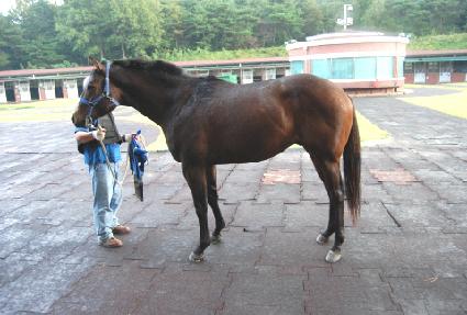 ��ǳ���� ����