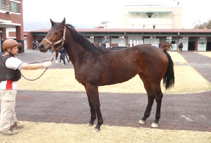 ���� ����