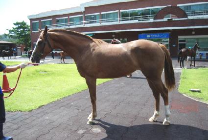 ������ ����