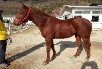 ��±� (RAON GOOD) ����