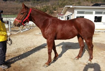 ��±� ����