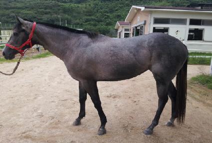 ��¹߸� ����