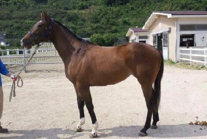 �������� ����