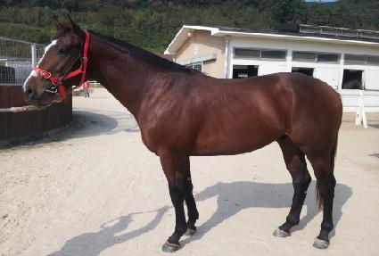 ��º��� ����