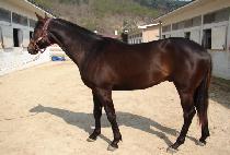 ����츣�޽� (RAON HERMES) ����